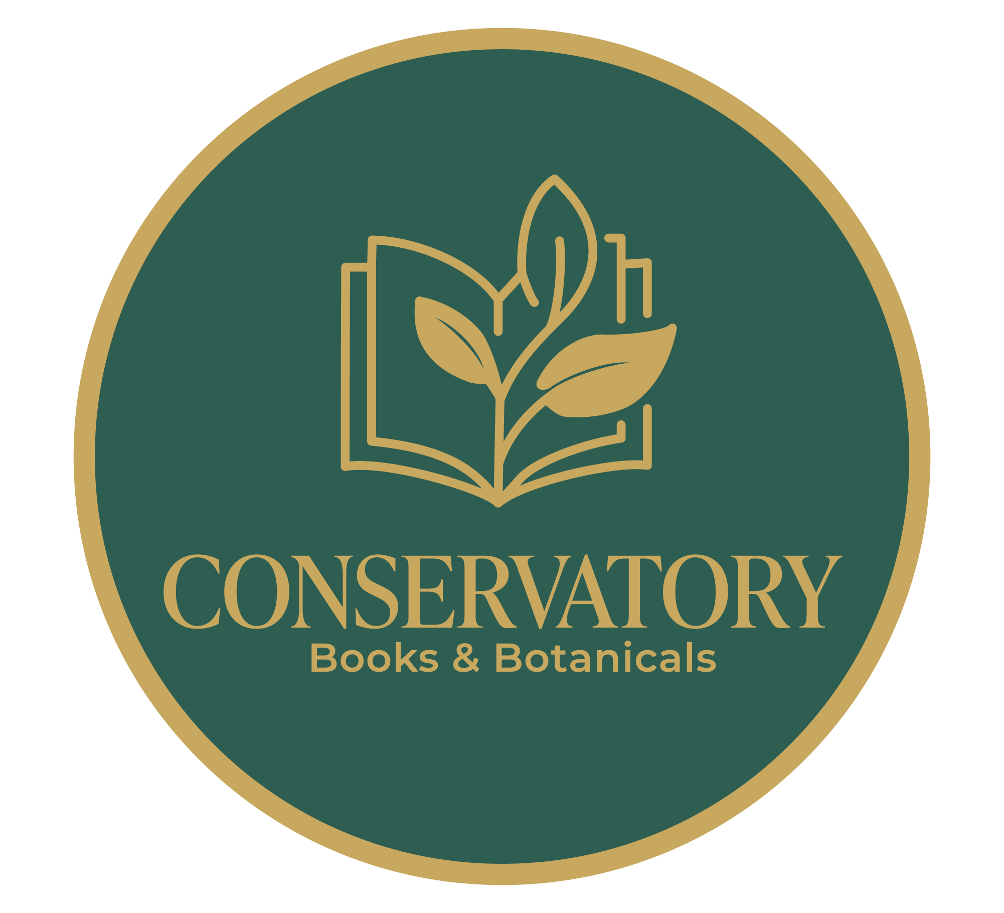 Logo consideration 2