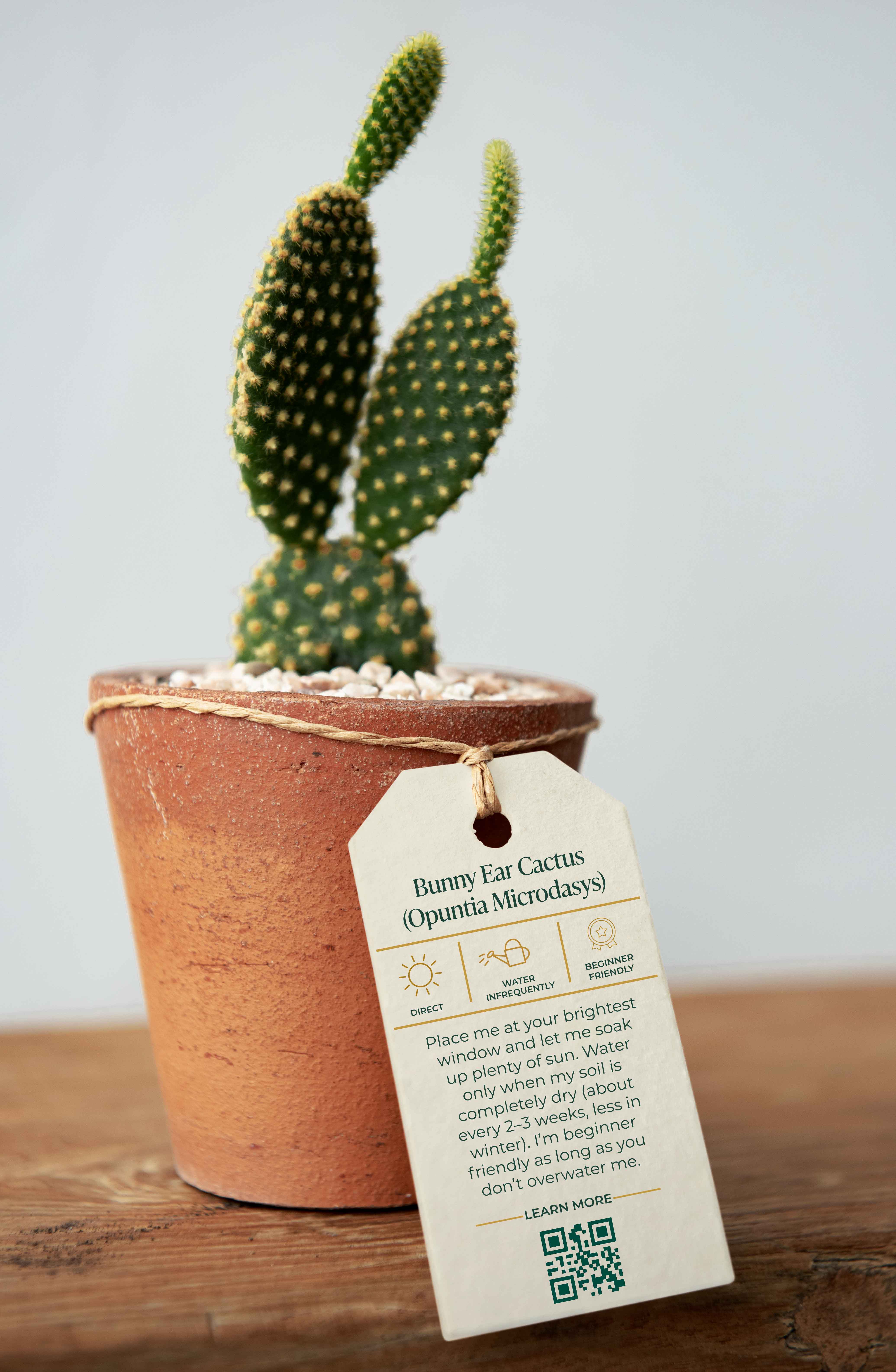 Conservatory plant tag flat design