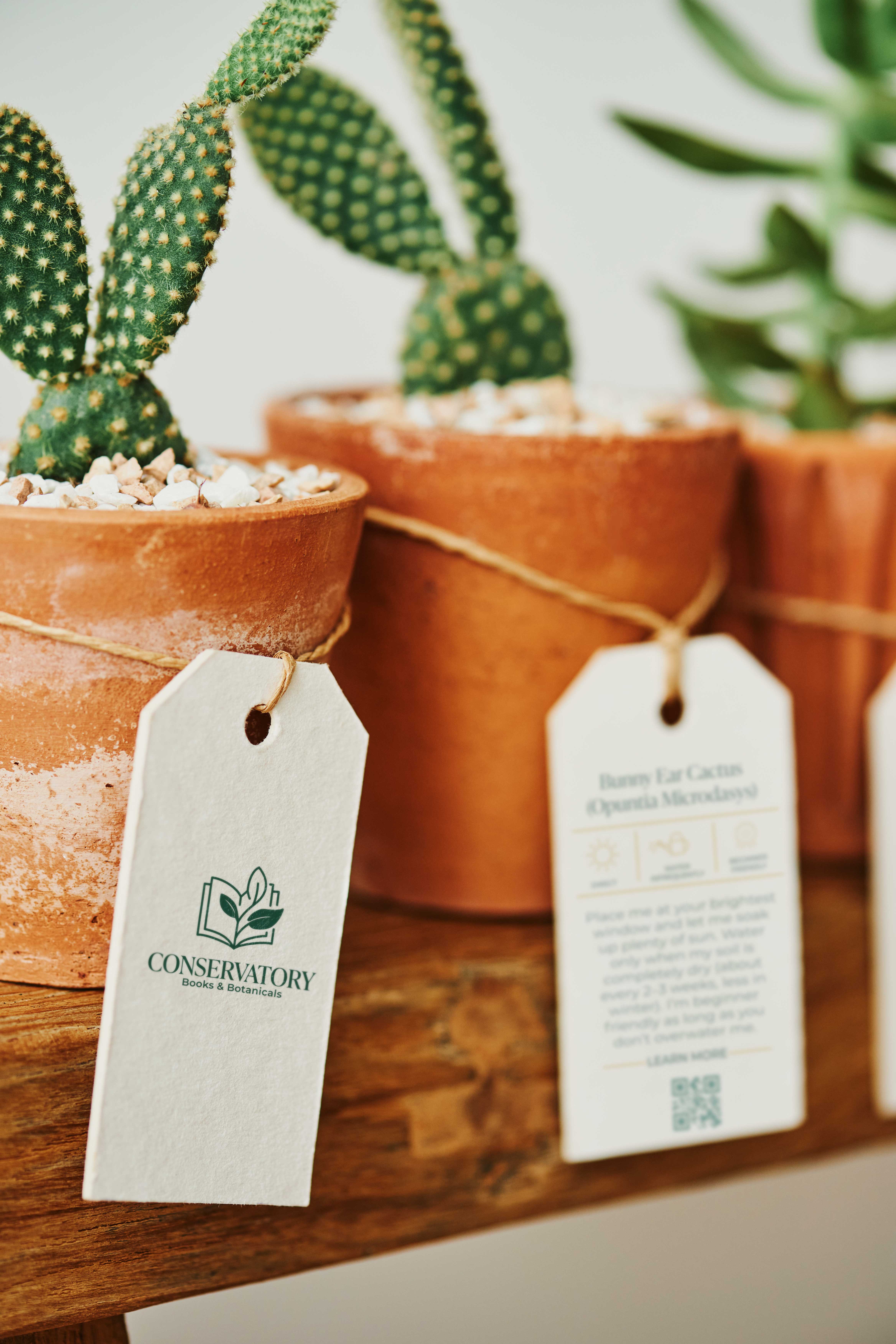 Conservatory plant tag mockup